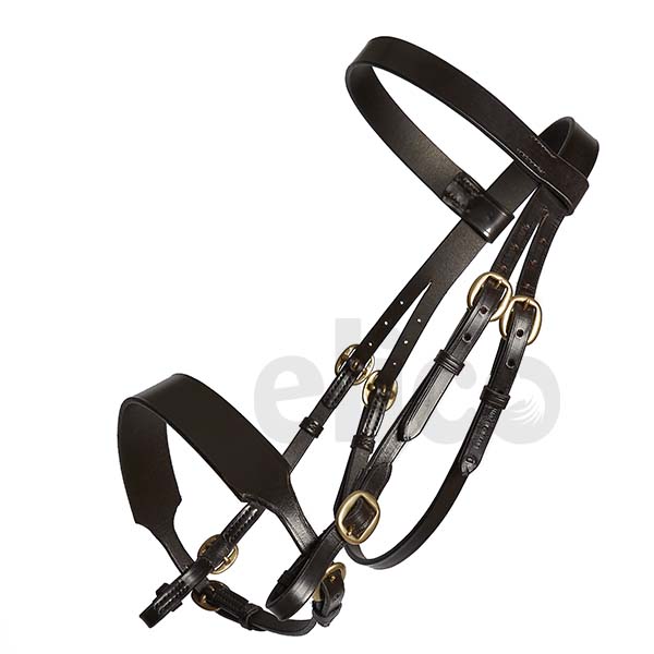 bridle-in-hand