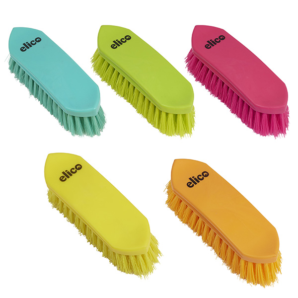 brush-sandown-dandy