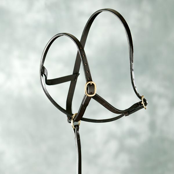 foal-slip-leather