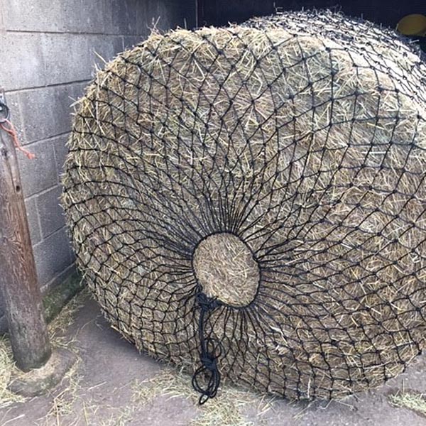 haynet-tintagel-used2