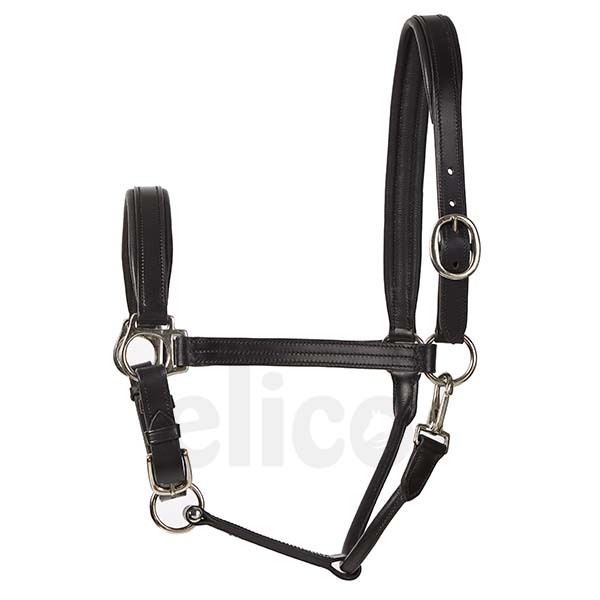 headcollar-bremen