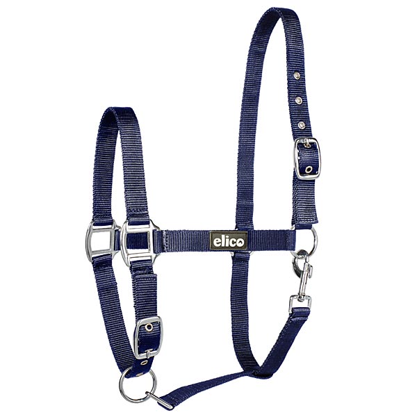 headcollar-navy-kendal
