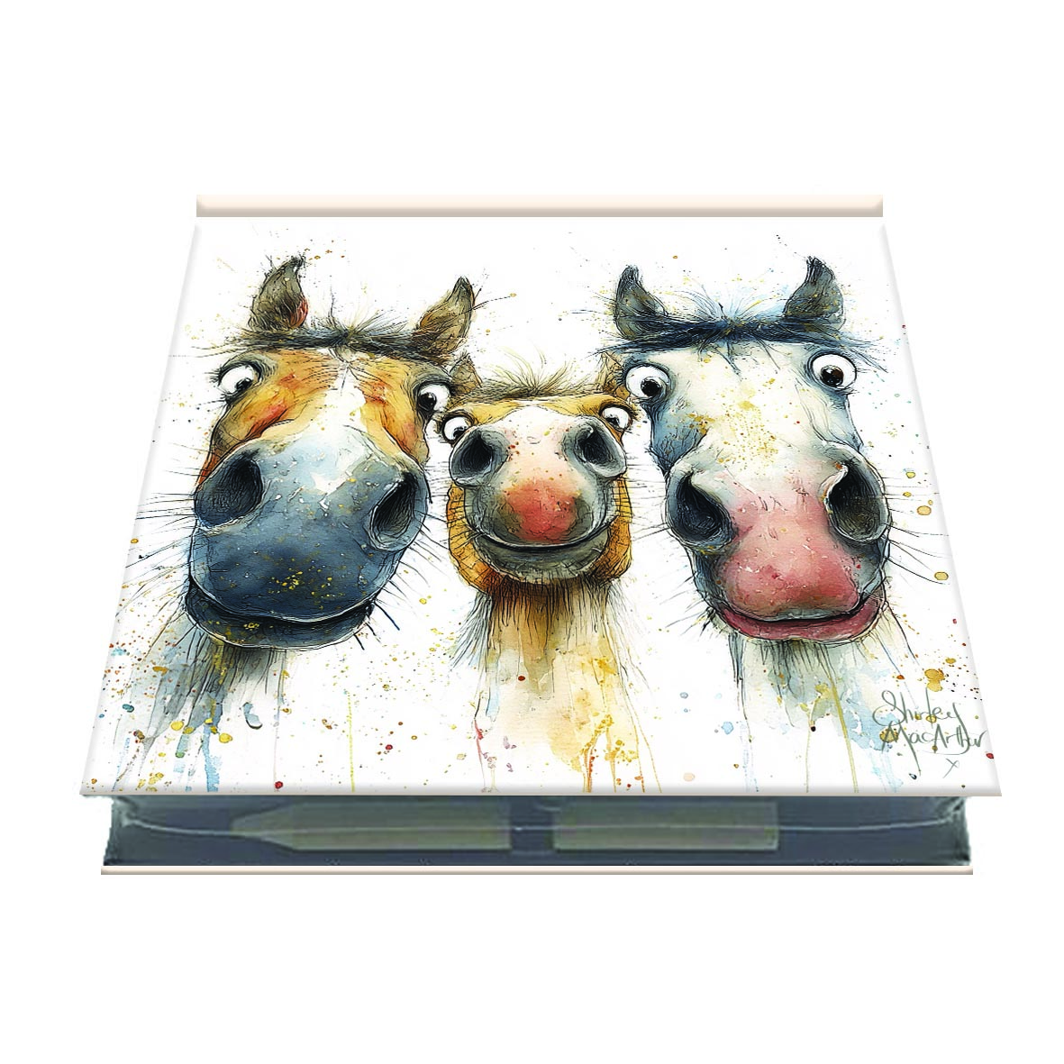 jotter-unsaddled