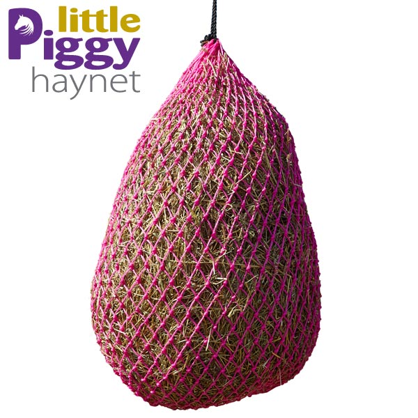 little-piggy-haynet