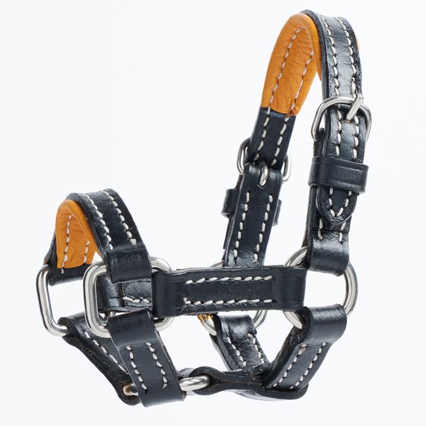minitack-headcollar
