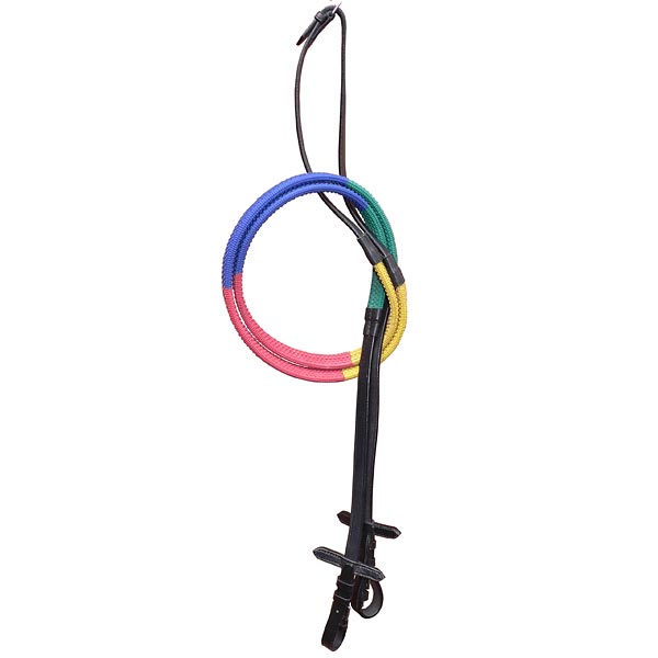 multi-training-reins