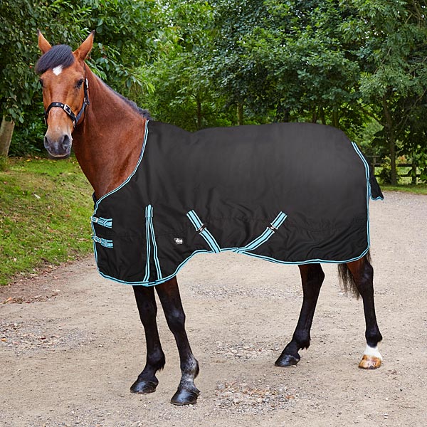 rug-markfield-horse