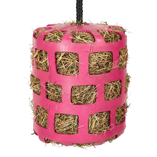 slowfeeder-rubber-raspberry