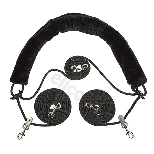 training-system-best-horse