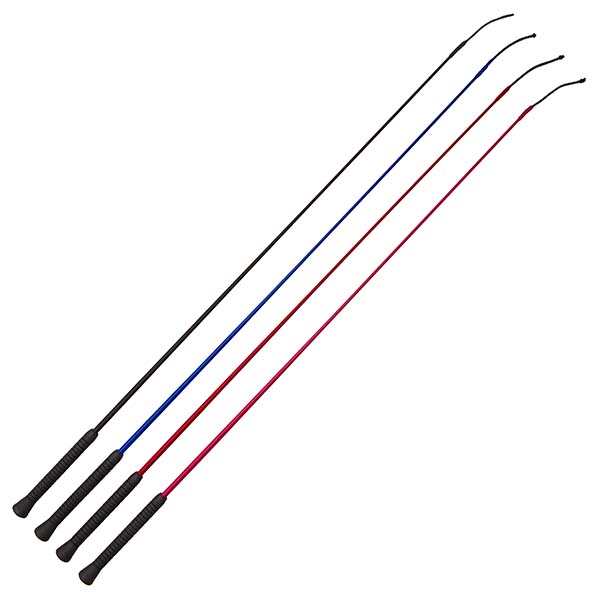 whip-dressage-economy