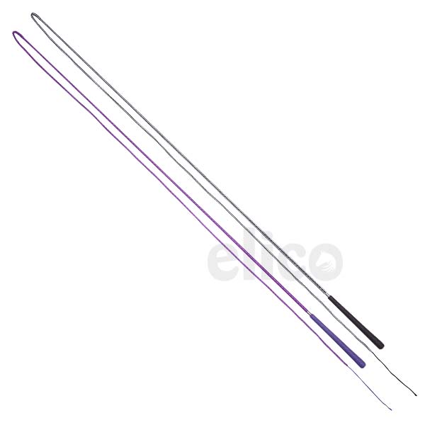 whips-lunge-r443